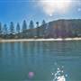 Patonga