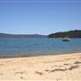 Patonga