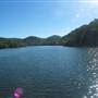 Patonga