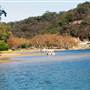 Patonga