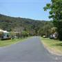 Patonga