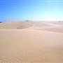 Stockton Dunes - Worimi National Park
