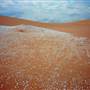Stockton Dunes - Worimi National Park
