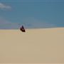 Stockton Dunes - Worimi National Park