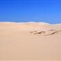 Stockton Dunes - Worimi National Park