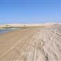 Stockton Dunes - Worimi National Park