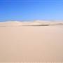 Stockton Dunes - Worimi National Park