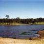 Tocal Historic Homestead