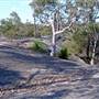 Walkabout Park