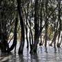 Menindee