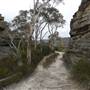 The Lost City