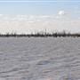 Menindee