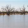 Menindee