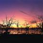 Menindee