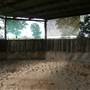 Lomar Park Stud