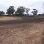 Lone Pine Speedway