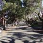 Marrickville Neighbourhood