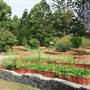 Mavis's Kitchen & Cabins - Mount Warning