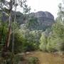 Newnes