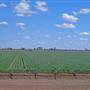 Narrabri