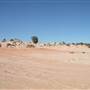 Mungo National Park