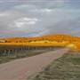Mudgee Area Vineyards