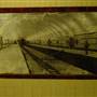 Museum Station