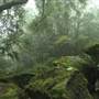 New England National Park