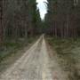 Newnes State Forest