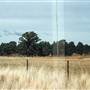 Parkes Observatory