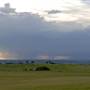 Menangle Area