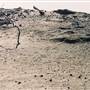 Milkengay Lake Sand Dunes
