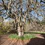 Milton Park Country House Hotel & Spa
