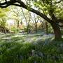 Milton Park Country House Hotel & Spa