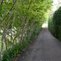 Milton Park Country House Hotel & Spa