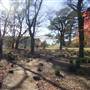 Milton Park Country House Hotel & Spa
