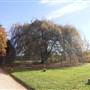 Milton Park Country House Hotel & Spa
