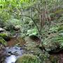 Minnamurra Falls