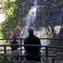 Minnamurra Falls