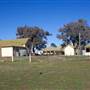 Molong