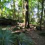 Mount Keira Scout Camp File 1