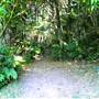 Mount Keira Scout Camp File 1