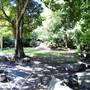 Mount Keira Scout Camp File 1