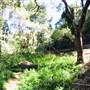 Mount Keira Scout Camp File 1