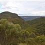 Mt Banks Summit Walk & Picnic Area