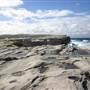 Potter Point - Kurnell