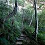 Jamison Valley Walk - Blue Mountains National Park