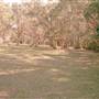 Queens Head - Limeburners Creek National Park