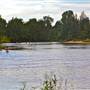Navua Reserve - Grose River