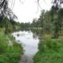 Navua Reserve - Grose River